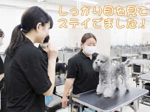 1年生が継続してステイの練習！